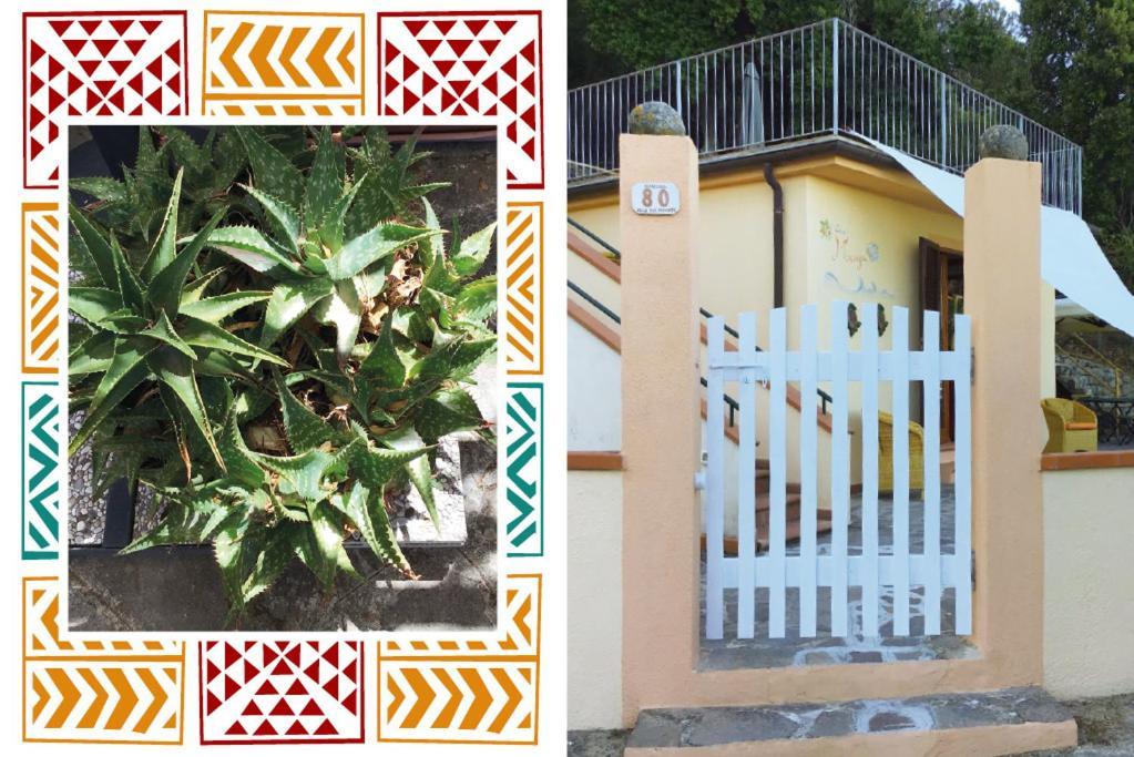 Casa Maja I Colombi - Goelba Apartman Marciana Kültér fotó