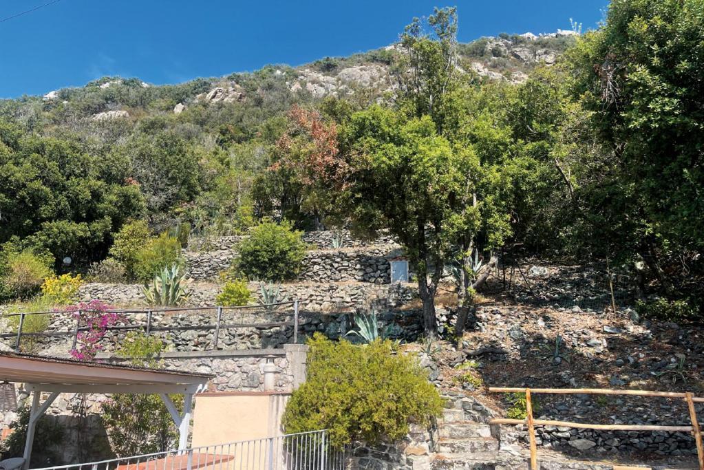 Casa Maja I Colombi - Goelba Apartman Marciana Kültér fotó